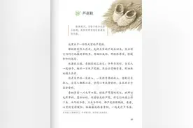 曹文轩的《芦花鞋》的艺术和思想真的达到置换经典课文的水平吗？图片