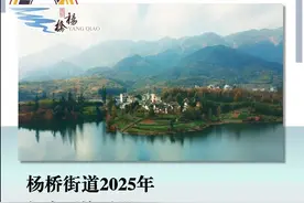 招商合作丨杨桥街道2025年招商引资手册图片