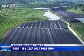黔西南：特色优势产业助力乡村全面振兴图片