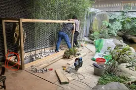土豪网友做的原生态鸟笼！羡慕了吧！森林级别生态养鸟！想住吗？图片