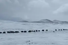 中国有四大无人区，一个比一个荒无人烟，哪个无人区面积最大？图片