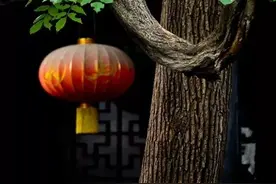 俗话“前不栽桑，后不栽柳”，到底什么意思？图片