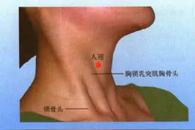 足阳明胃经经穴——人迎穴图片