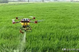 微量元素肥施用注意事项图片