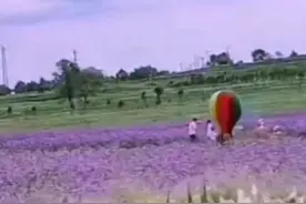 坝上风光 草原天路图片