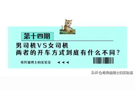 男司机VS女司机，两者的开车方式到底有什么不同？过来人说出真相图片