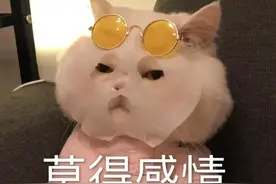 救命啊！为什么“大姨妈”闻起来这么臭？图片