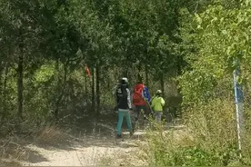 初夏在北京去哪里溜娃休闲？怀柔藤萝谷，绿荫藤蔓，溪水潺潺图片