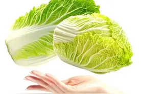 表情包‖我是一颗菜，又菜又爱玩图片