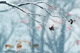 立冬：风卷叶落知秋尽，一抹暖阳映初冬图片