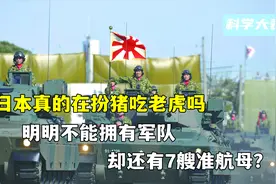 日本真的在扮猪吃老虎吗？明明不能拥有军队，为啥还有7艘准航母图片