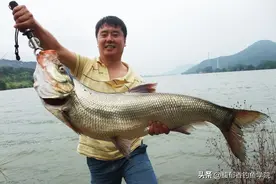 钓大鱼怎样才能连竿？选对目标鱼很重要，容易连竿的三种大鱼图片