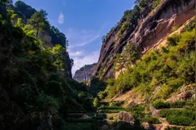 喝茶人要知道的武夷山岩茶等级：正岩、半岩、洲茶图片