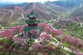 【100天的春季 100分的美丽】2025贵阳贵安赏花图鉴图片