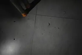 计划烧山是谁发明的？图片