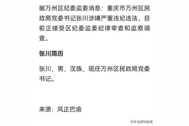 张川接受审查调查图片