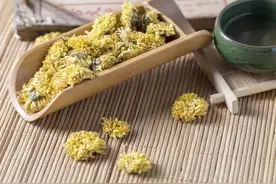 夏季不妨多喝这八款花茶，清热解暑还去火图片