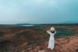 成年人的通透：一半是忘了，一半是算了图片