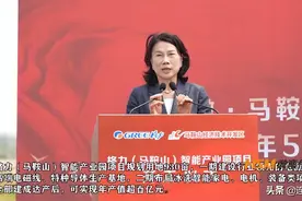 董明珠：要加快安徽马鞍山项目建设图片