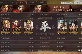 白板陆逊带这个战法，打高红敌人不会没伤害，共存与变强很难兼容图片