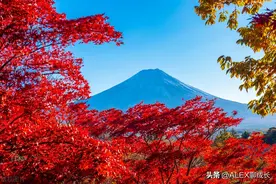 有这些缺点的女人，反而非常旺夫，男人娶到了就是福气图片