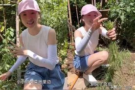 42岁董洁在院子割韭菜，徒手捉虫子胆子大，儿子身高已超过她图片