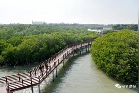 元气满满！元旦假期，来茂名这些景点走走→图片