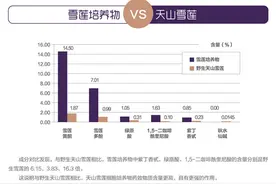 平凡猪猪女孩也能吃起的雪莲，到底靠不靠谱图片