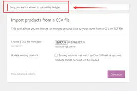 解决WordPress中的错误提示“抱歉，您不允许上传此文件类型”图片