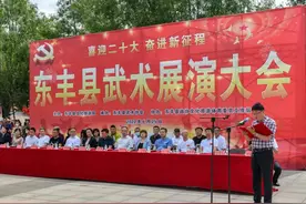 喜看幸福引航者 正是丰城武术人图片