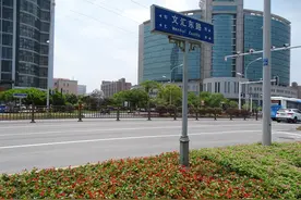 快看看！今后文汇路绿化会是啥模样？图片