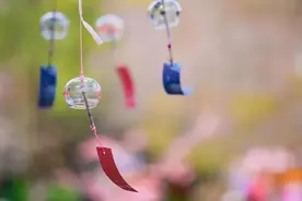 官宣！合工大2022年硕士研究生招生图片