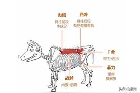 一张图搞懂 5 大牛排！你是不是一直以为菲力牛排是个牌子？图片