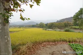 两个女孩换亲后的故事（二）图片