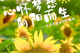 早安~去做想做的事，去爱值得的人，去成为自己喜欢的模样图片