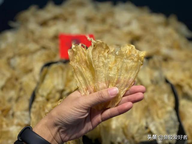 黄花筒和北海胶哪个好 2026年北海胶和黄花胶哪个功效好