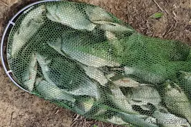 冬季野钓老空军，8成原因是天气，满足这3个指标，一定是爆护天图片