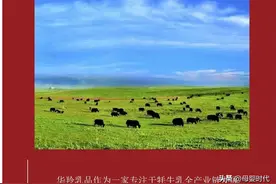牦牛奶粉看华羚乳品！天然牧场是脱颖而出的资本图片