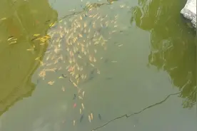 阅读史（博客时代记录 只为保存）图片