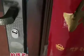 女子忘带钥匙呼唤家中小猫成功开门，养猫千日用猫一时图片
