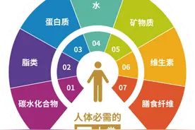 人体所需要的七大营养素介绍图片