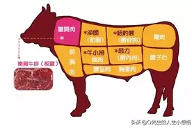 牛排是牛的哪个部位？牛排用哪个部位的肉最好图片