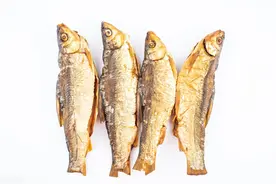 让众多钓手闻风丧胆，恨之入骨的白条，究竟是一种什么奇怪生物？图片