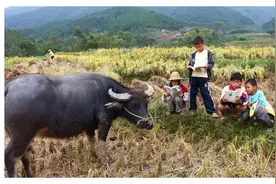 俗语；“有福生6月，没福生腊月”啥意思啊？对此你怎么看呢图片