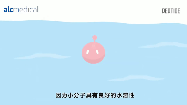 肽能有什么作用 2026年肽能起到什么作用