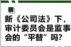 新《公司法》下，审计委员会是监事会的“平替”吗？图片