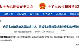 内蒙古自治区统计局党组书记、局长潘志峰接受审查调查图片