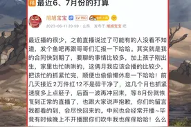 DNF：策划要开始慌了？旭旭宝宝发帖，正式宣布停播2个月图片
