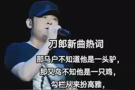 刀郎本无“刀” 何来“剑”出鞘 满曲皆罗刹 根本无海市图片