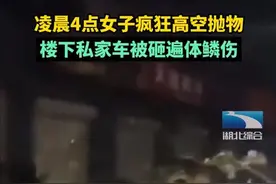 凌晨4点女子高空抛物，楼下私家车被砸得遍体鳞伤图片